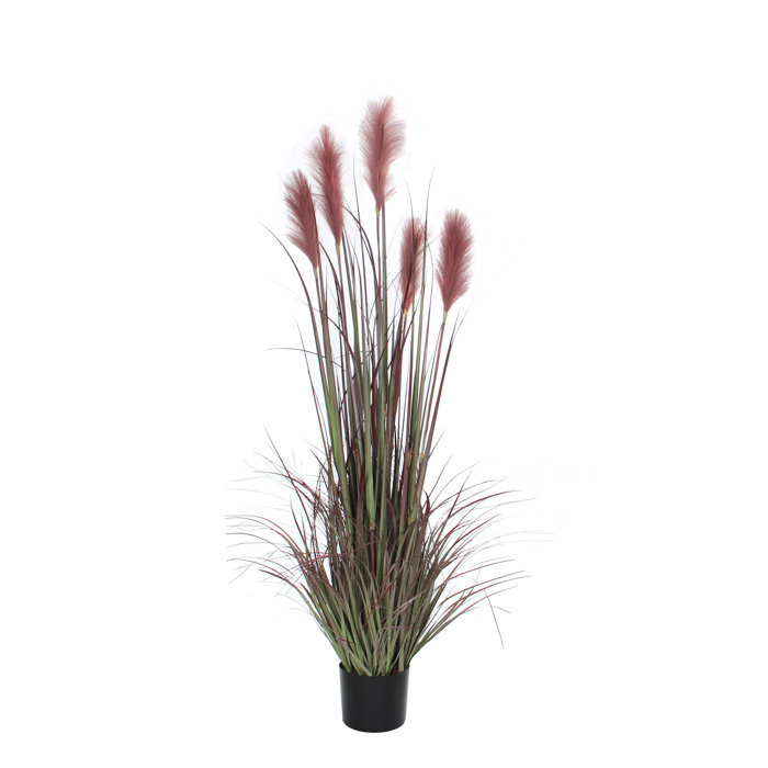The Seasonal Aisle Artificial Pampas Grass in Pot Wayfair.co.uk